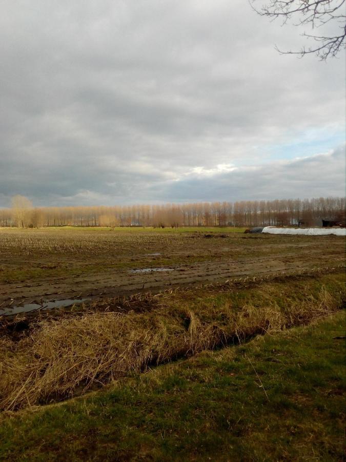 B&B Destiny Maldegem Bagian luar foto